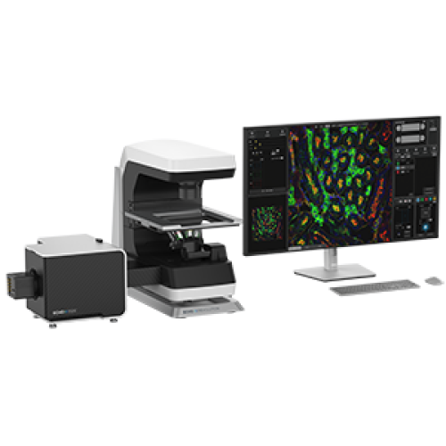 Echo CONFOCAL