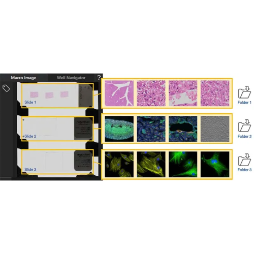 Olympus-Evident APX100