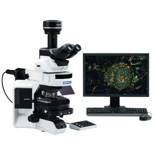 Olympus Evident  BX53 – univerzální badatelský laboratorní mikroskop