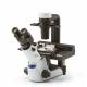 Olympus-Evident CKX53