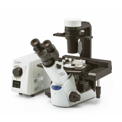 Olympus-Evident CKX53