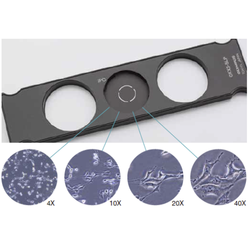 Olympus-Evident CKX53