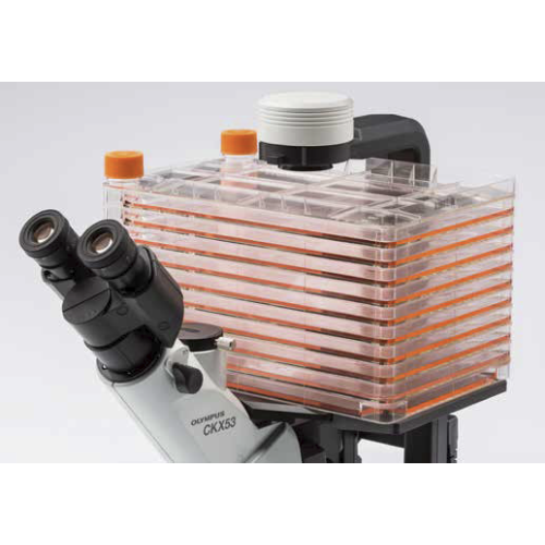 Olympus-Evident CKX53