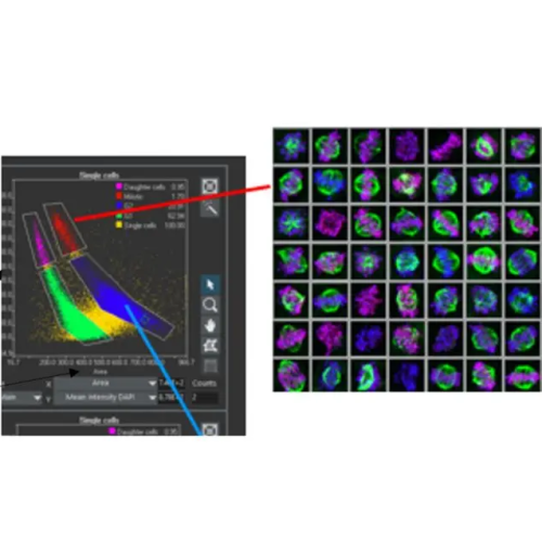 Olympus Evident ScanR