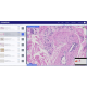 SLIDEVIEW  DX