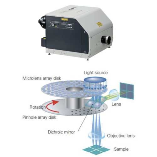 IXplore IX83 Spin SR