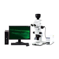 MVX10 Makro Zoom Mikroskop