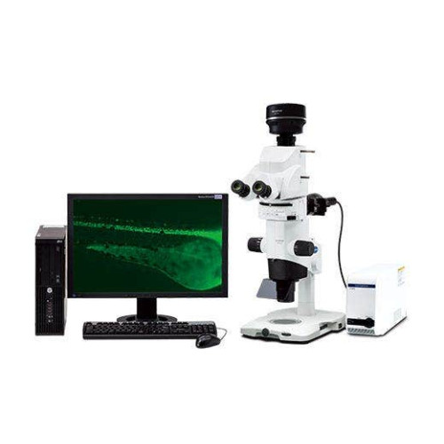 MVX10 Makro Zoom Mikroskop