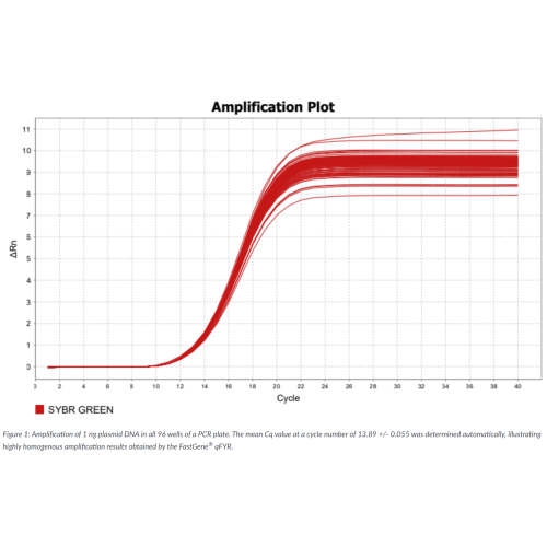 FastGene qFYR Real-Time PCR systém