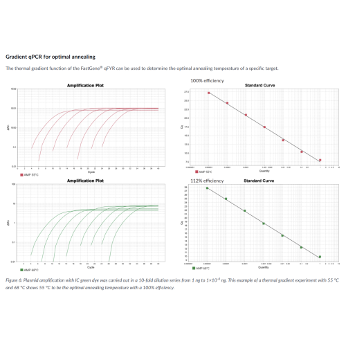 FastGene qFYR Real-Time PCR systém