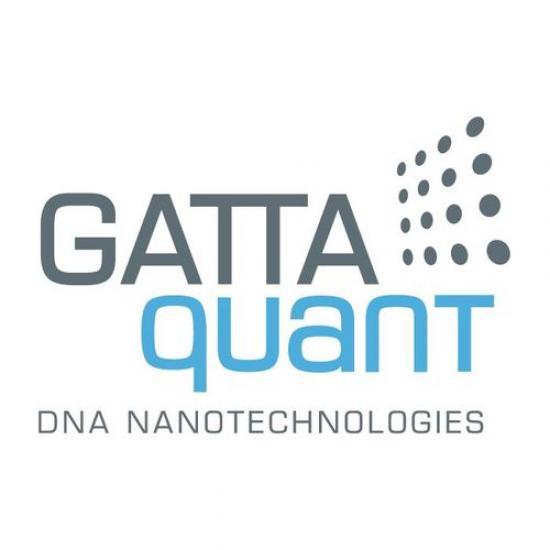 GATTA-Cells 1C