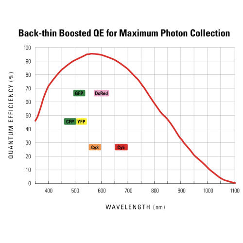 ORCA-Fusion BT Digital CMOS kamera