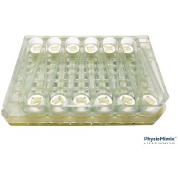 PhysioMimix™