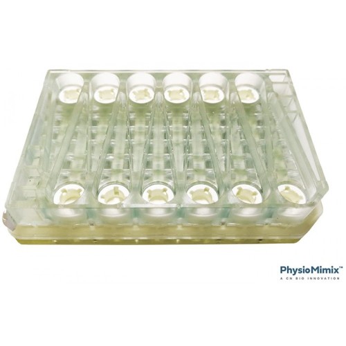 PhysioMimix™