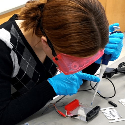 Bandit™ STEM Electrophoresis Kit - Single Bandit™ Kit