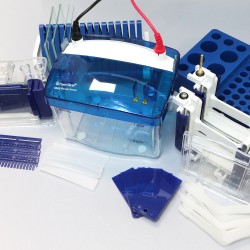 FastGene PAGE Protein System