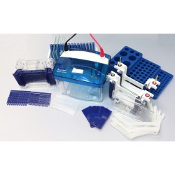 FastGene PAGE Protein System