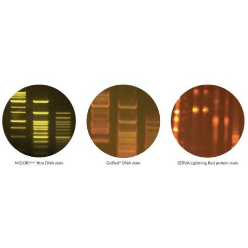 FastGene FAS-X GelDoc System