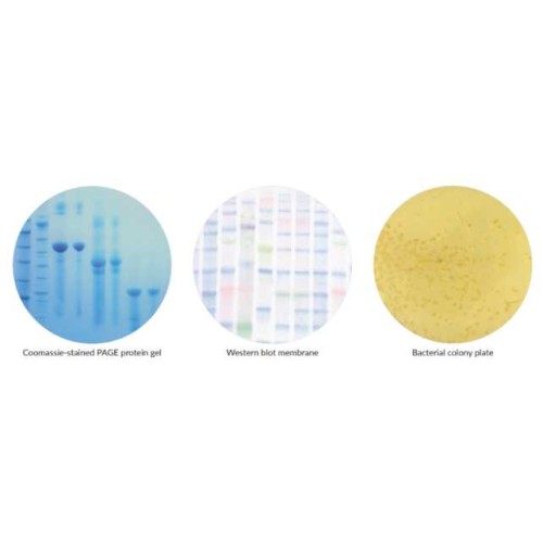 FastGene FAS-X GelDoc System