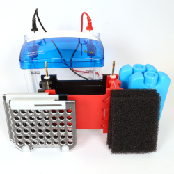 FastGene Western Blot System