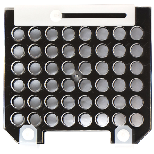 FastGene Western Blot System