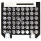 FastGene Western Blot System