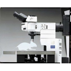 Elektrofyziologický systém BX51WI