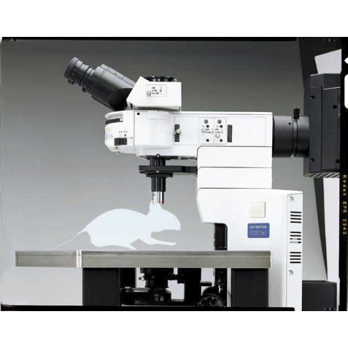 Elektrofyziologický systém BX51WI
