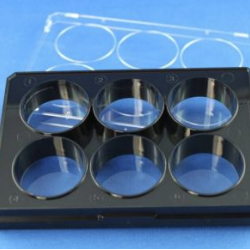 Imaging Plate 6 CG 1.5, black body, sterile