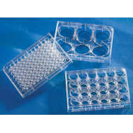 Imaging Plate 24 CG 1.5, clear body, sterile