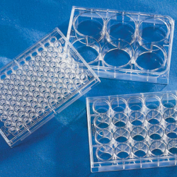 Imaging Plate 6 CG 1.5, clear body, sterile