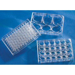 Imaging Plate 24 CG 1.5, clear body, sterile