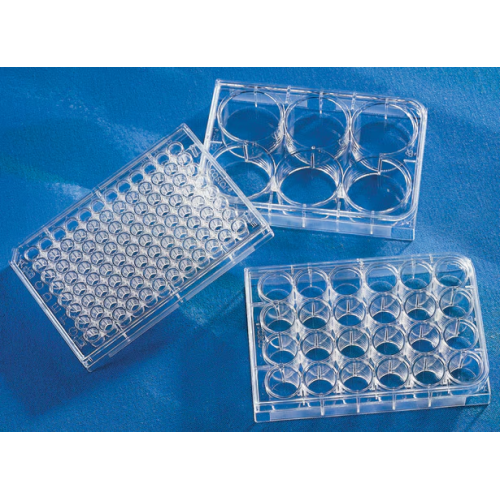 Imaging Plate 24 CG 1.5, clear body, sterile