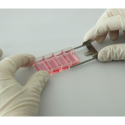 Imaging Chamber CG Adapter