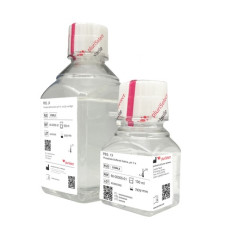 PBS, 1X (10 BLT, 500 ml)