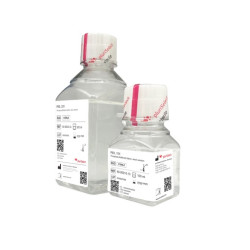 PBS, 10X (1 BTL, 500 ml)