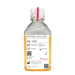 BSA, 10% in 1X PBS (1 BTL, 500 ml)