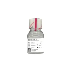 RBC Lysis Buffer, 1X (1 BTL, 100 ml)