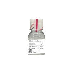 RBC Lysis Buffer, 10X (1 BTL, 100 ml)