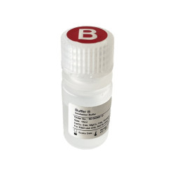 Buffer B (Incubation Buffer) (1 BTL, 10 ml)