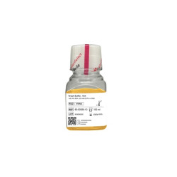 Wash Buffer, 10X (1 BTL, 100 ml)