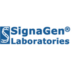 GENJET™ DNA TRANFECTION REAGENT PRE-OPTIMIZED FOR MDA-MB231, EA, 1.0ML