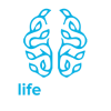 LifeCanvas Technologies