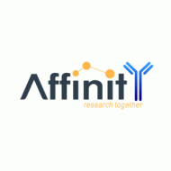 Goat Anti-Rabbit IgG (H+L) CY3-conjugated