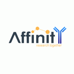 Phospho-LDHA (Tyr239) Antibody